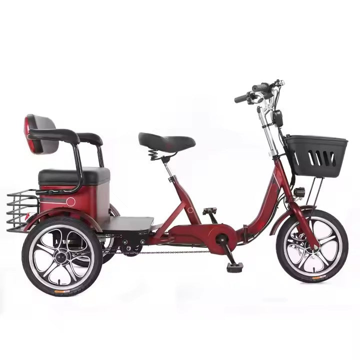 Electric Bike/Tricycles/Car, 300W-500W, 36/48V, for Riding and Commuting Electric Bicycle or Cargo Transportation Electric Vehicle