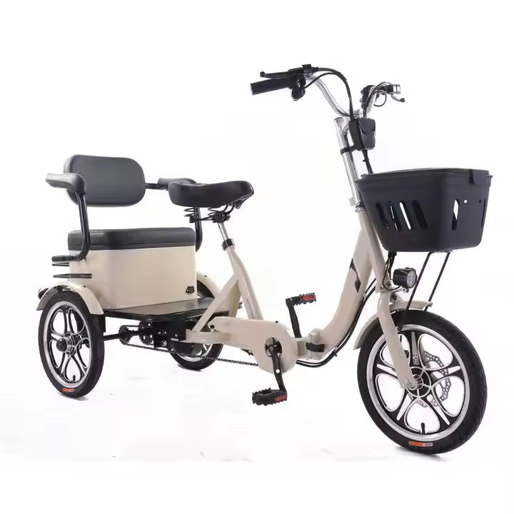 Electric Bike/Tricycles/Car, 300W-500W, 36/48V, for Riding and Commuting Electric Bicycle or Cargo Transportation Electric Vehicle