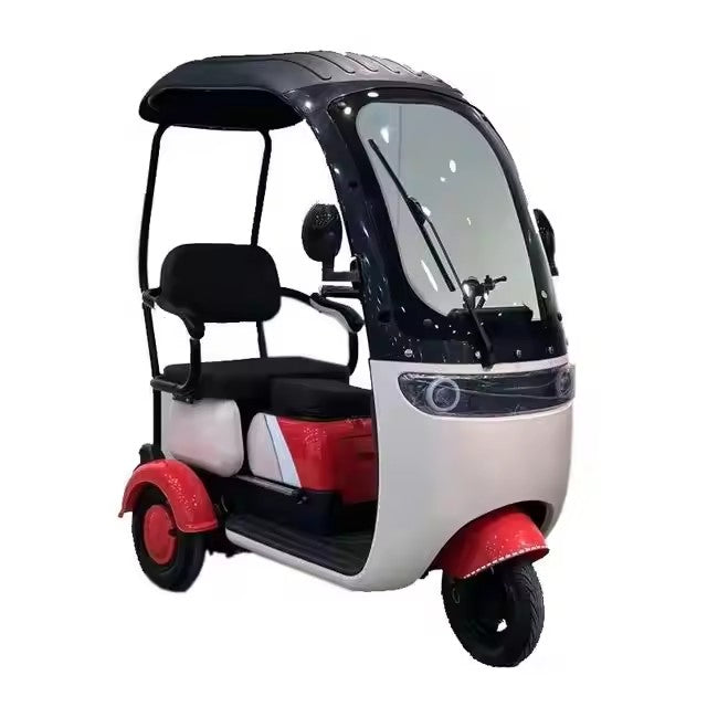 Electric Bike/Tricycles/Car, 400W-800W, 48/60V, for Riding and Commuting Electric Bicycle or Cargo Transportation Electric Vehicle